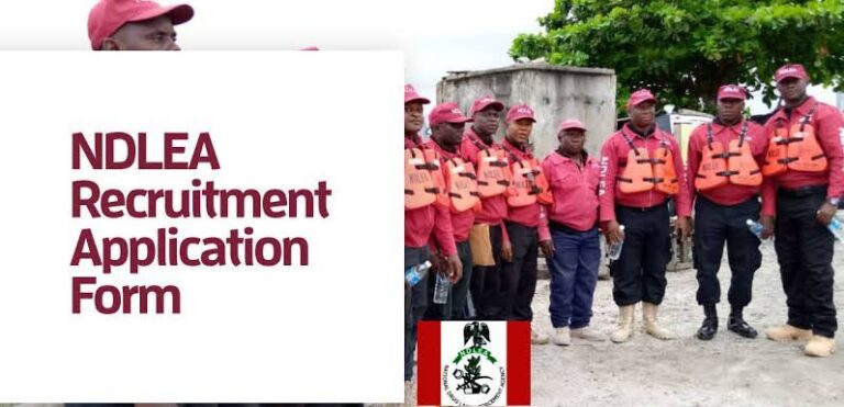 ndlea recruitment portal 2024 application form